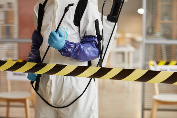 Professional Sewage Cleanup technician working in Wiley, GA